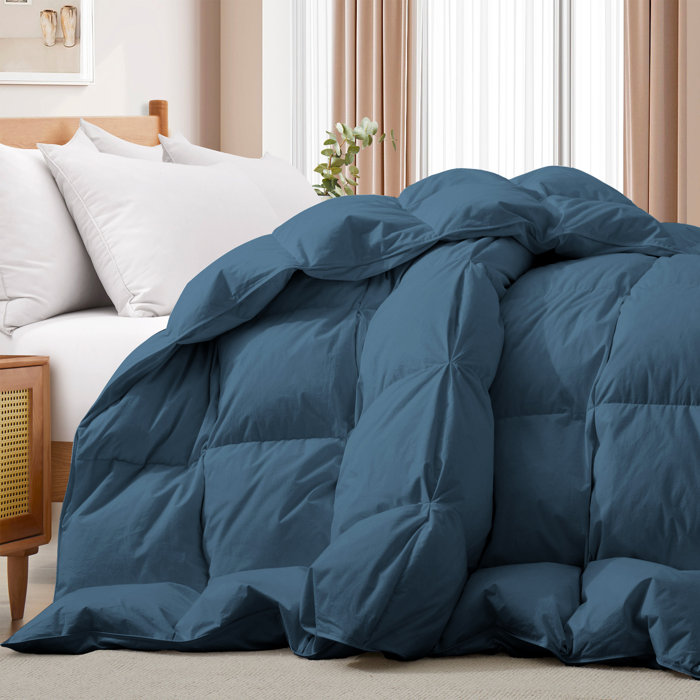 Alwyn Home 600 Fill Power All Seasons Down Comforter & Reviews Wayfair